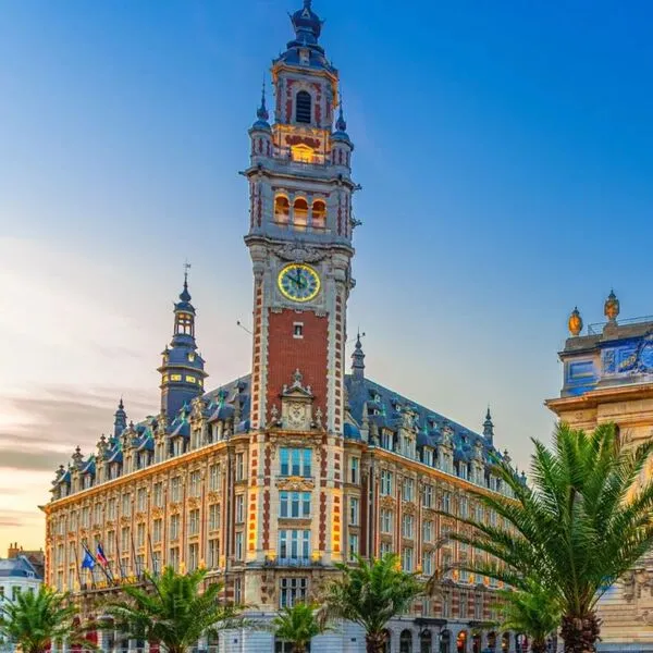 Consultant SEO Freelance à Lille