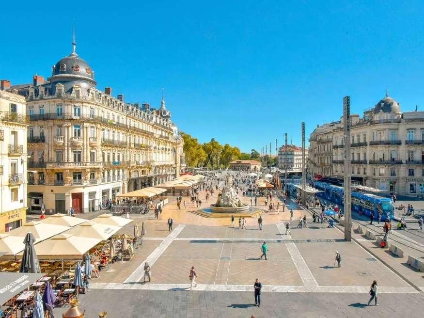 Consultant SEO Montpellier
