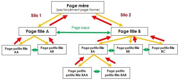 Schéma cocon sémantique